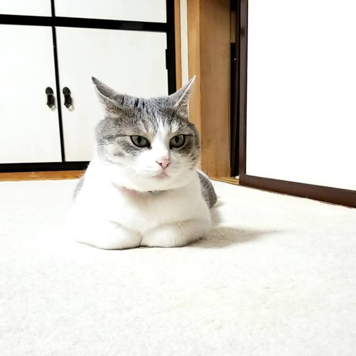 7b42a44e df05 4875 aad7 491a3114a6fa 1567988065666