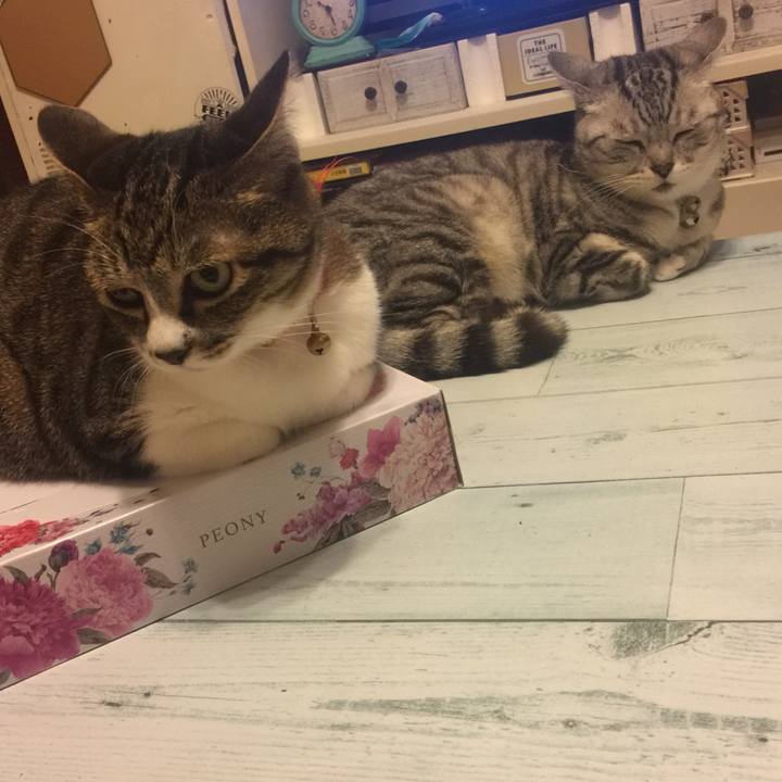 7b42b1a5 9a24 417e 87d8 d2701bb86575 1561469420071