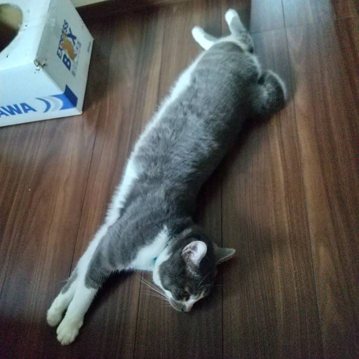 7b42b33e 69aa 433e b72f 3c49df3b5868 1630195381693