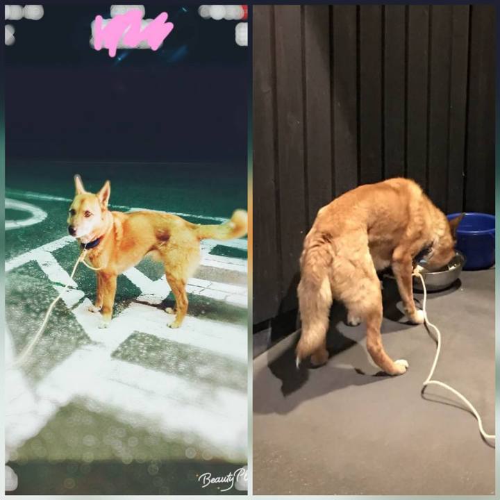 7b42bb61 15c0 4b68 9bb4 a08c54ecc045 1525672962695