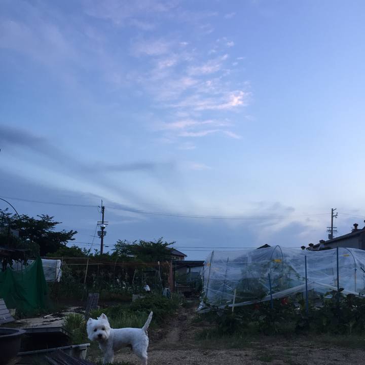 7b42bcc2 6a7e 46ca b802 7cf87d5ab8da 1529668180951