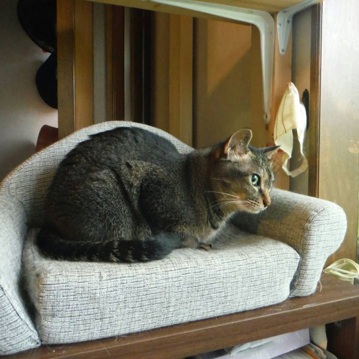 7b42eace abe5 42eb b72b ee42dba645c1 1562982608321