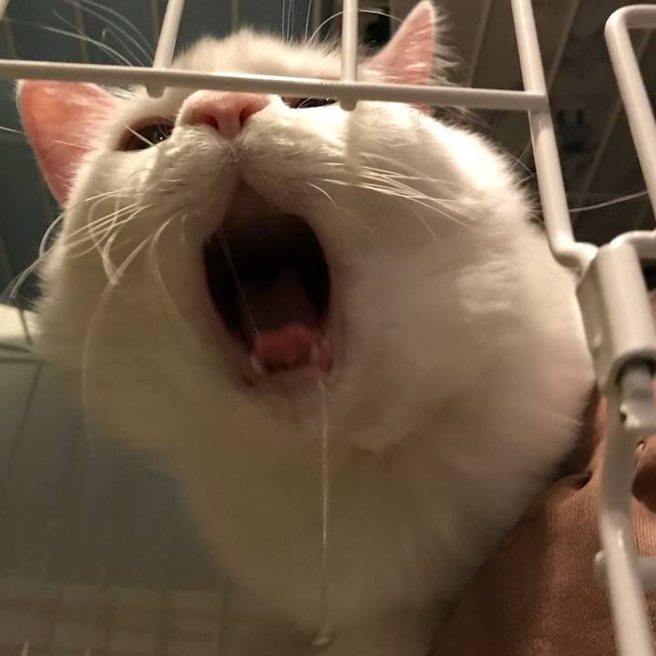 7b42f474 5244 4bcb a094 7638b6d9b4b5 1518696432012