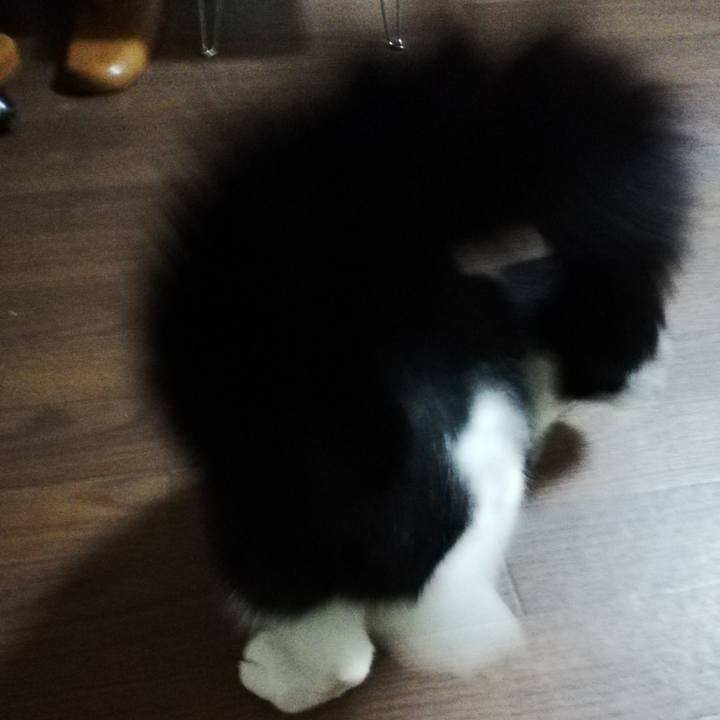 7b431a4b 6313 4df2 a160 328e3175c6fc 1587974274631