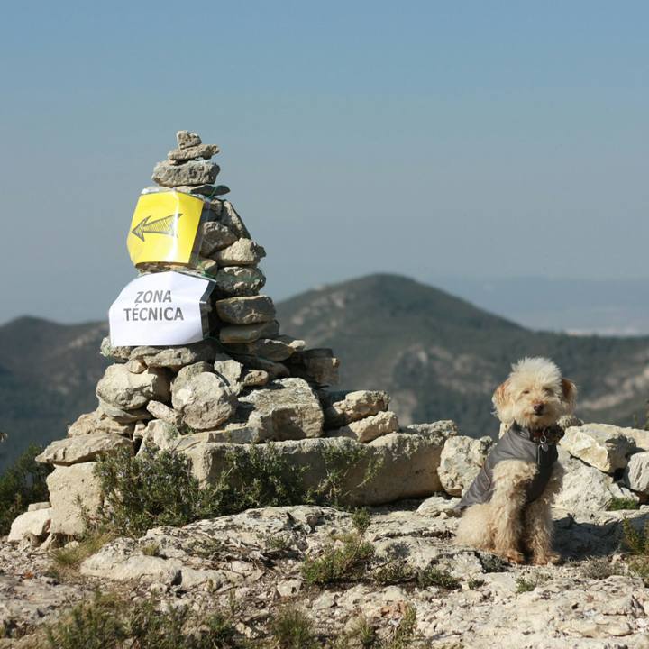 7b433355 df62 4cf9 aaaa 4fdb2b5211de 1551285440245