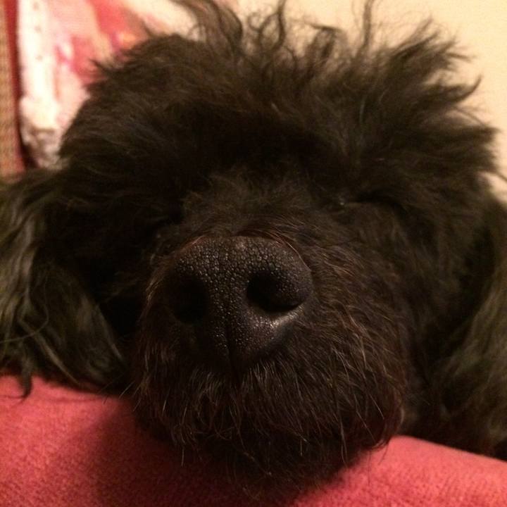 7b433cc2 1c64 4cb4 923a 879932df3541 1523614528730