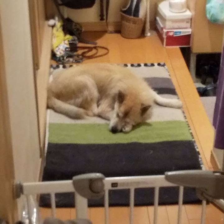 7b433d31 b1e4 4fd0 b6c0 0e109cf3a14f 1588809827181