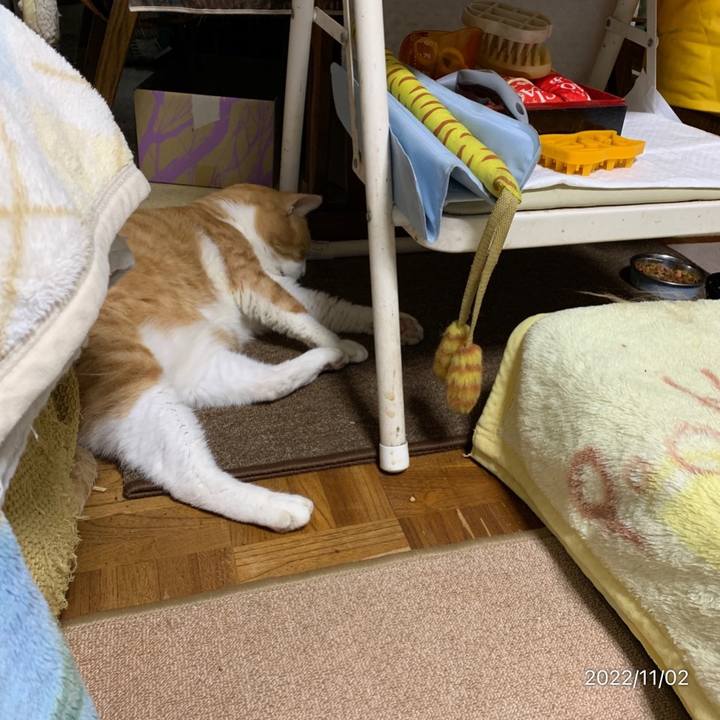 7b435669 c31a 47a3 8e81 5ea3c69d7e46 1667341250733