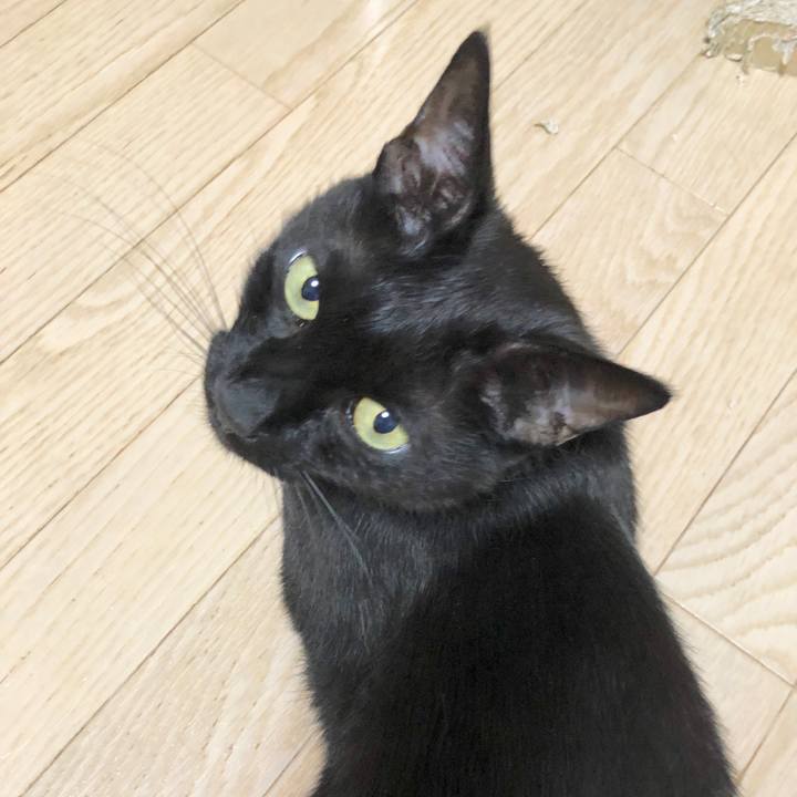 7b436111 1562 43d7 bb1d a543e04bc85f 1591711517997