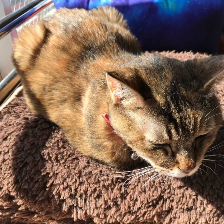 7b436968 c35a 4626 8a6e 27d3107c5e5f 1541308394804