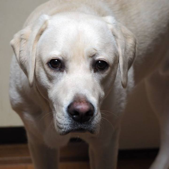 7b44225b ba74 4939 9618 6b7611f813b8 1615118104249