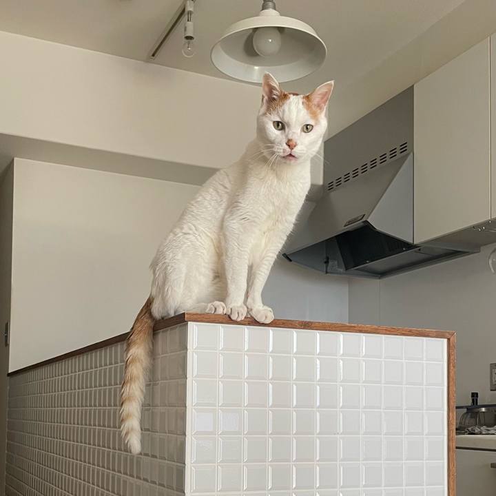 7b444689 a43a 49a2 bb9f 1862162bbfad 1728611569862