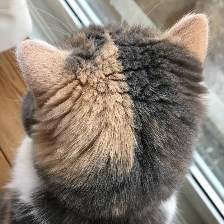 7b444b56 a637 4e06 9b8f eefd870105d7 1553067859207