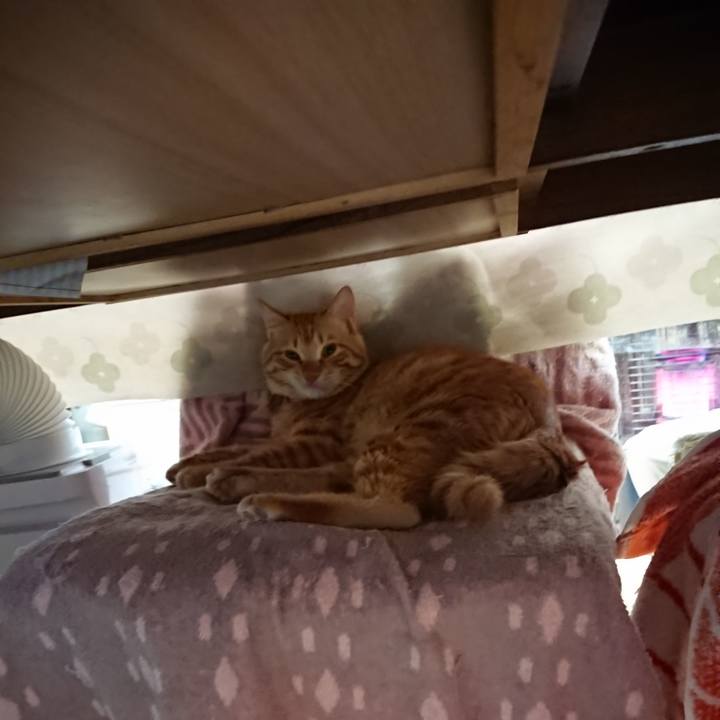 7b446619 78c0 4209 89a2 f0fd744abc7b 1643157104475