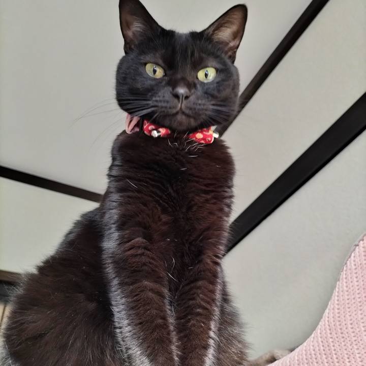 7b4478f8 9a8d 4d58 8469 fc6fd00d3553 1639436925982