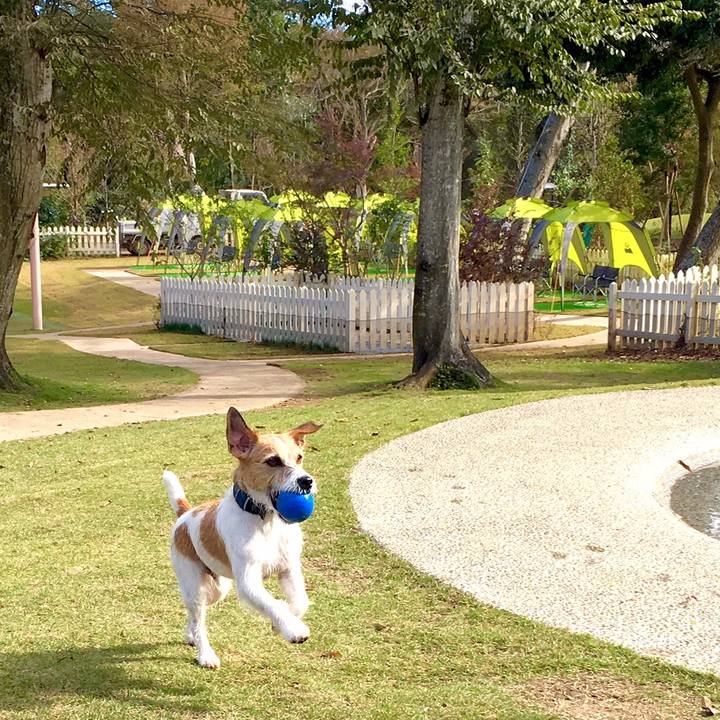 7b4485fe a98a 41a6 8f52 33201b1fe827 1541235494089