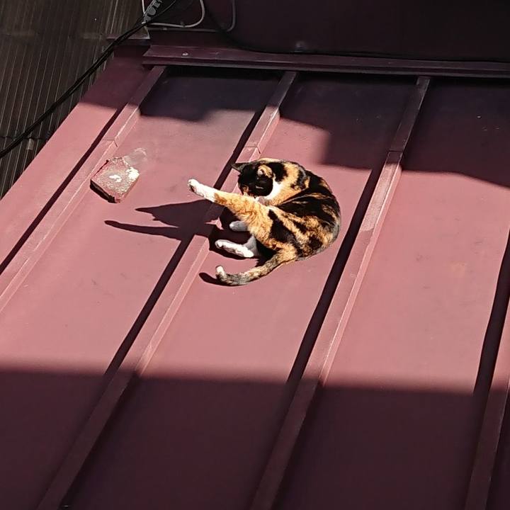 7b44c41f a58a 48b3 9864 acf1fe69905f 1614038473463