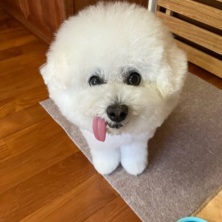 7b44d861 30eb 411b b7a8 297bfd136107 1754433828381