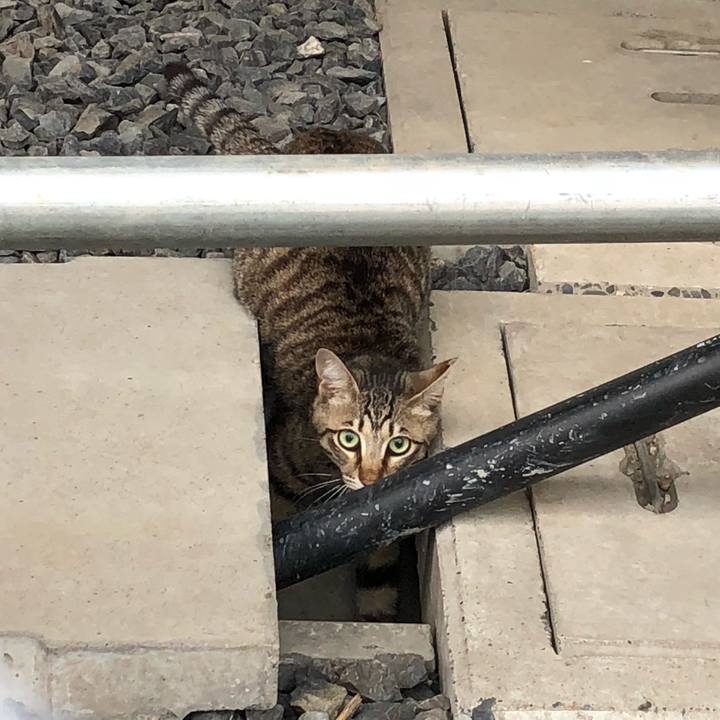 7b44dfc6 fa67 4b09 9cbc 1e99122c2f10 1525079138535