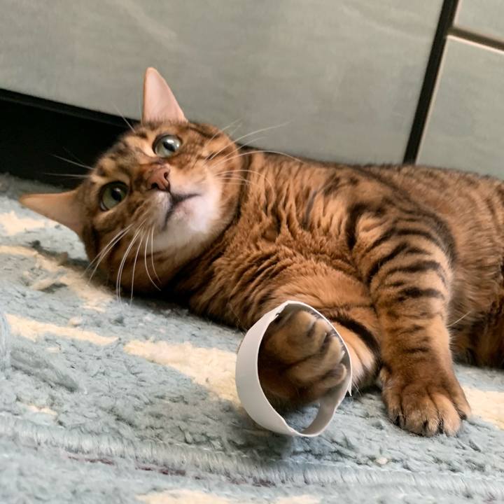 7b44f128 0268 49cd 8249 fd20a7949185 1607835693066