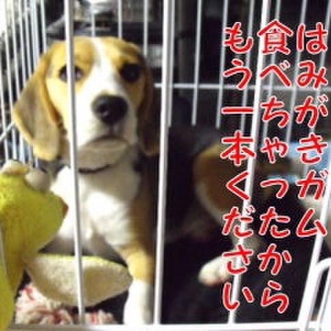 7b4520cb 6d6e 4a6a acde 5f4574764bc5 1681778519405