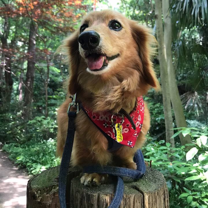 7b4521f9 3ce7 4feb 896c 34f664994fe8 1651553106394