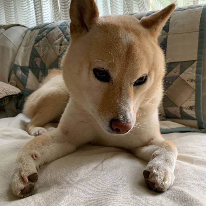 7b4534eb c066 47ba 9b2b 45a9f6a4eee7 1655768221888