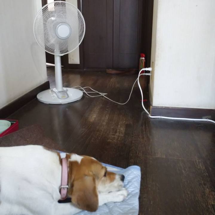 7b456a06 0f80 4d6b aa40 79fdd08b5ca2 1597992604697