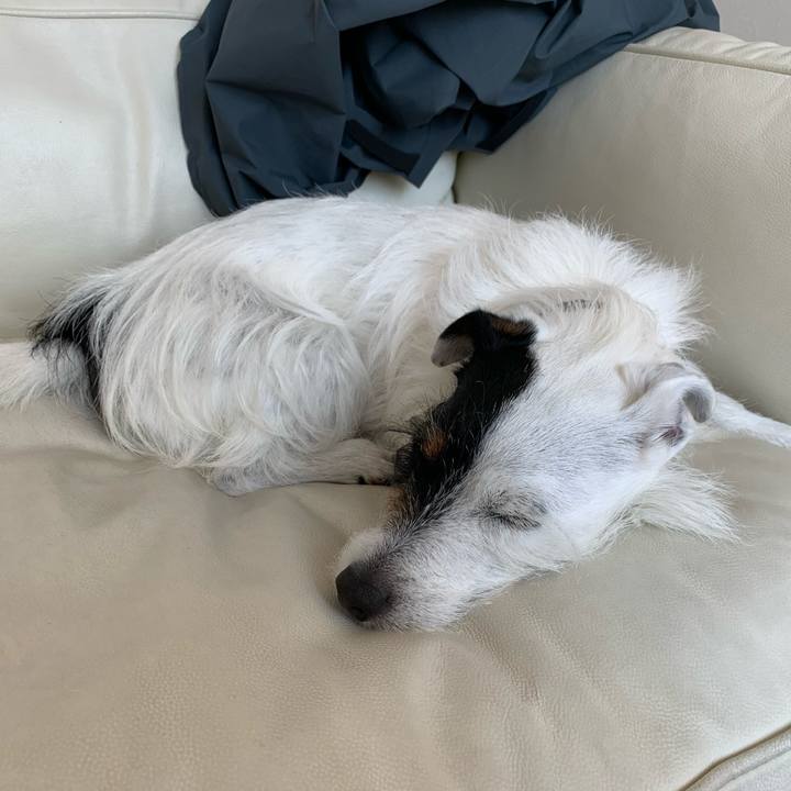 7b457561 7b12 4df9 bf7d 65c855668932 1587877891221