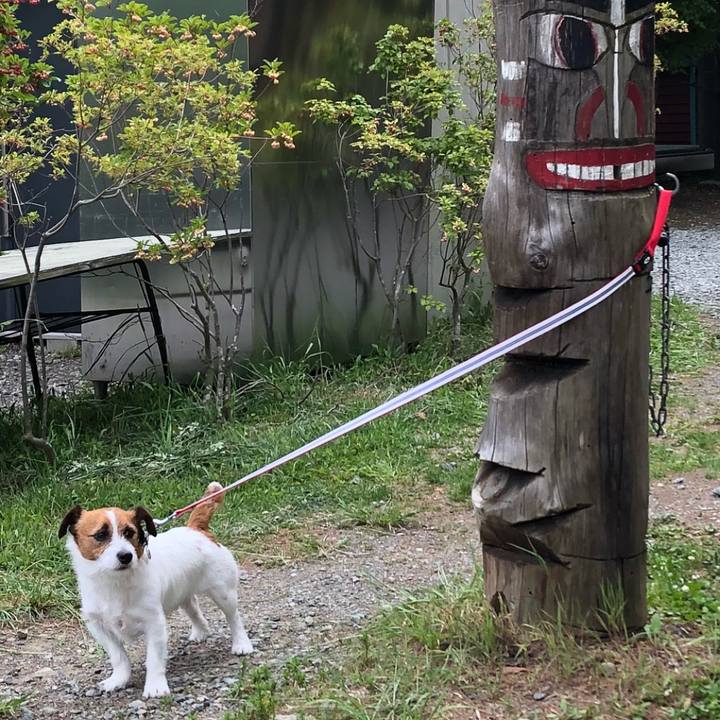 7b459284 7f91 48ad 81b2 2855268b9b74 1526645243286