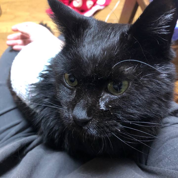 7b459d69 9e23 46d5 964d c82e34fd9476 1644663033124