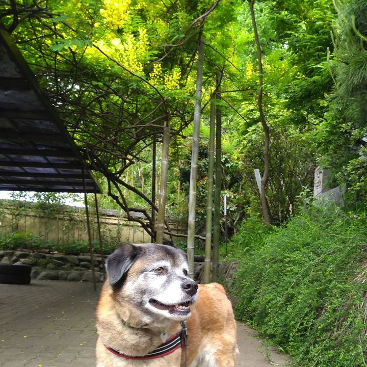 7b45c10e ae7f 4e22 8211 56d24c1055e1 1557187587486