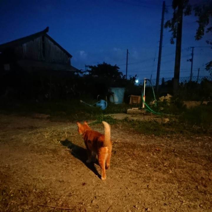 7b45cd66 1ea8 4b4f 986b 49dde472e845 1569835670020