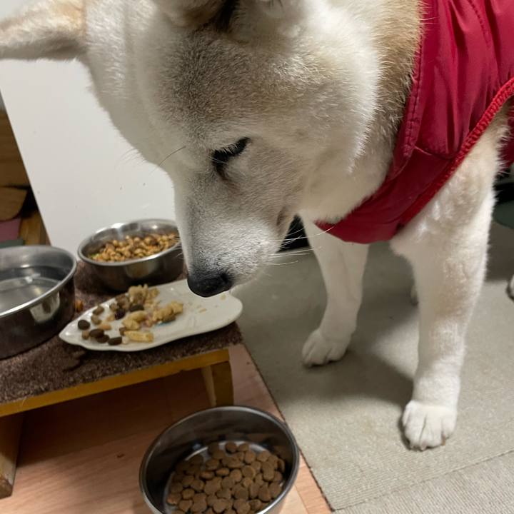 7b45d948 c76b 40d1 994e 8b3ef2570039 1704840084161