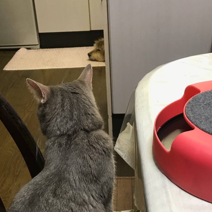 7b460e02 19a9 46d5 a7bf b766ce08104f 1546572089056