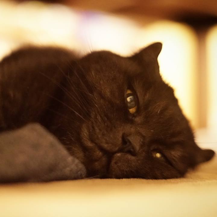 7b462ca9 ac88 43d6 b255 95c6c96ee0e8 1640394994871