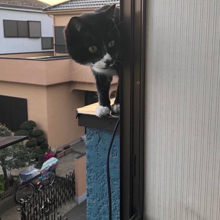 7b462fd9 e101 43ba 91a5 ea2f94fabf6d 1556351840590