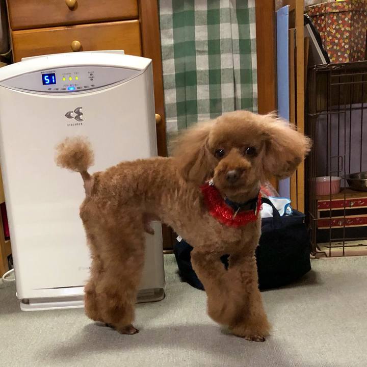 7b46d81e a312 4124 aa62 ec53c6cc5ad6 1556427799761