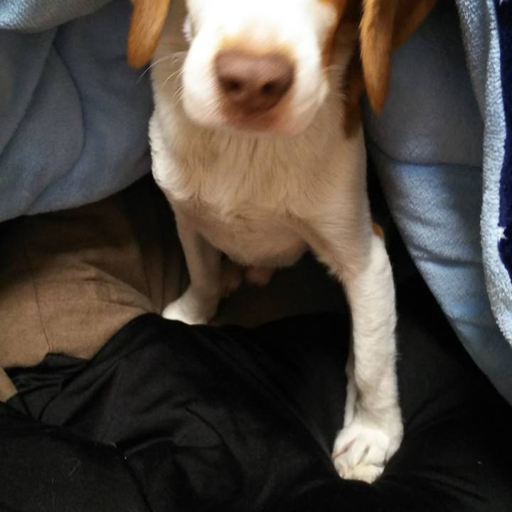 7b47341a 95b1 4f7e b66d 24683955b12e 1549462554557