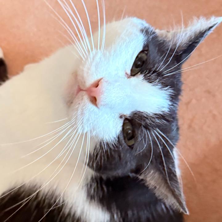 7b473461 012c 4abf 92f4 f0fbb3a3850a 1758333085564