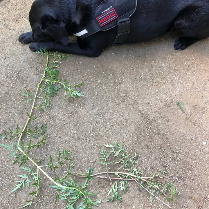 7b4740d1 aef1 4668 87ca af99e62482c7 1667179168719