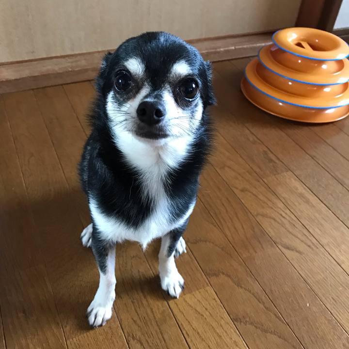 7b474851 f82f 4e6f a7f6 5bb499b8d457 1571178980262