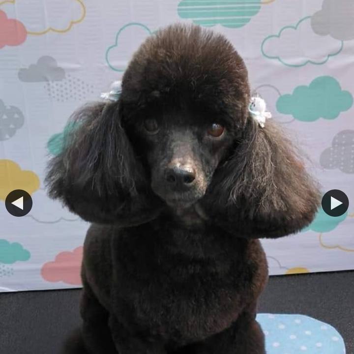 7b4793f1 adc8 4dba 8672 ad16271ab40a 1620252531459