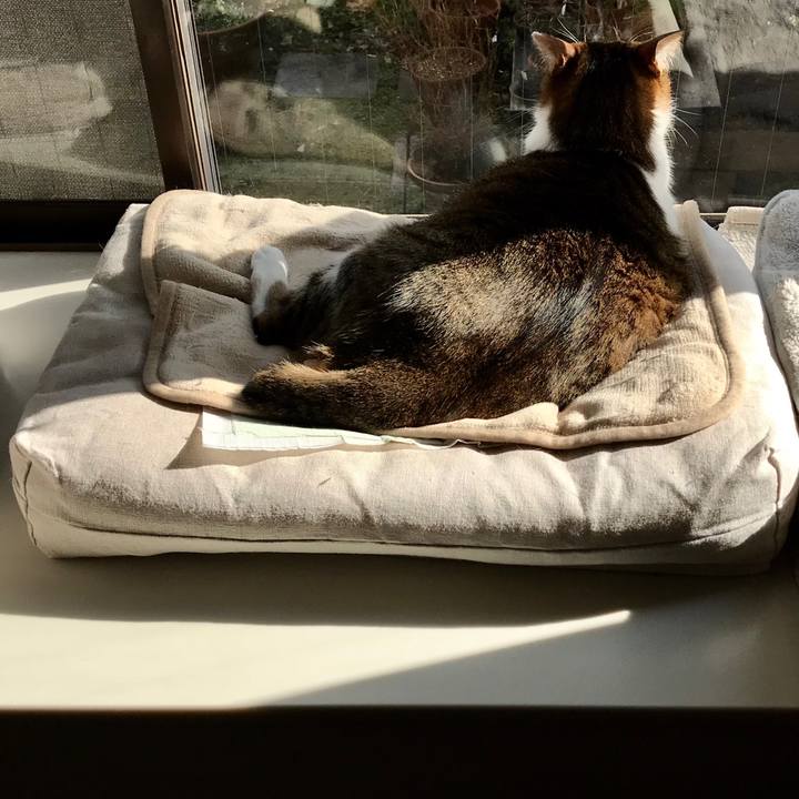 7b4811ed 5bf4 40fa a988 c89e5fdea855 1520748976155