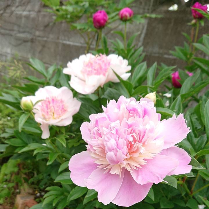 7b48ad2a c595 497c 821c 5b97e16163b2 1651881650443