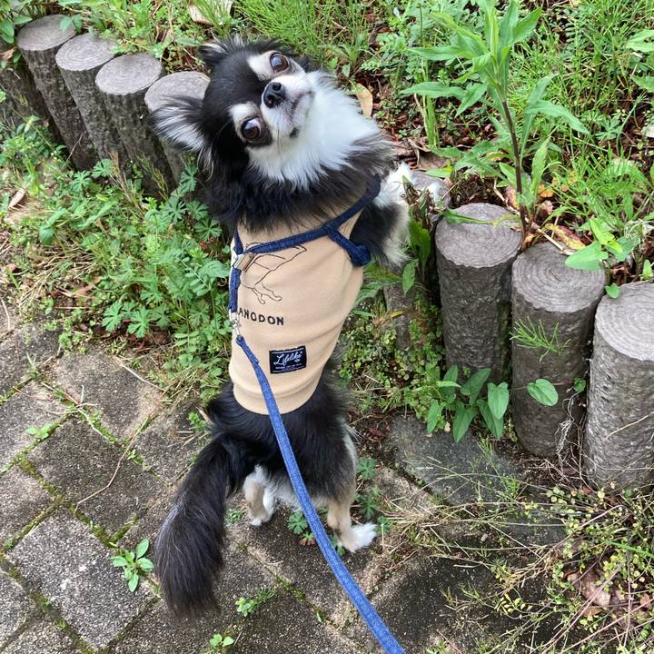 7b48f10d e4b5 437d 9504 4fdfd9cfbb92 1680966359622