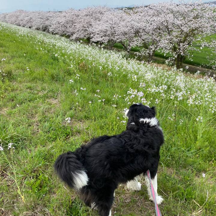 7b48fd0b a470 4e9f 841e 7731eb6dca81 1679910201754