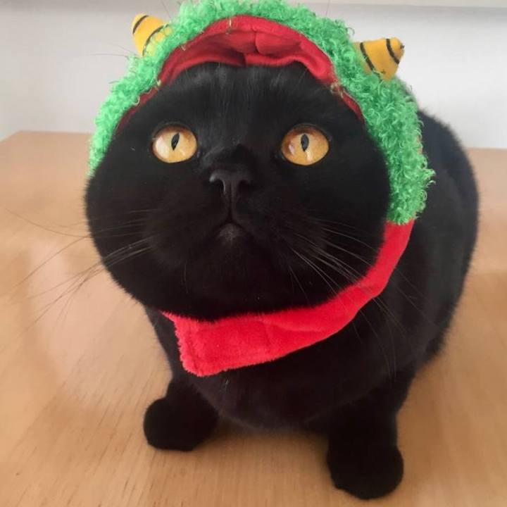 7b495628 54a7 46b0 b346 1a203f4610e6 1643881353606