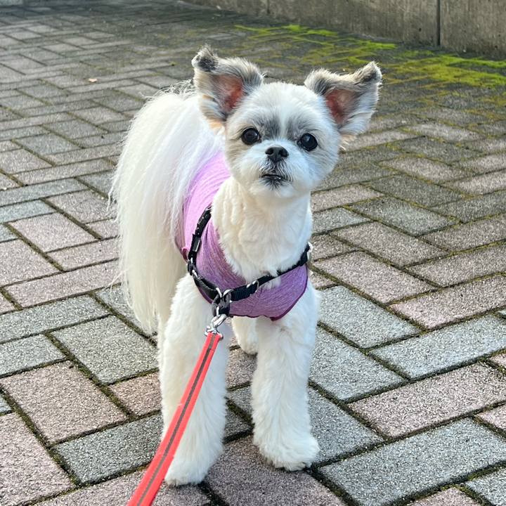 7b4967a4 04ee 47ae b5d2 68bbdc4b59f5 1758519044774