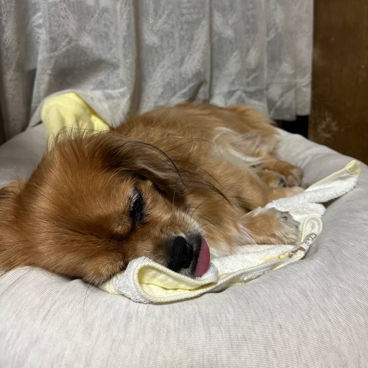 7b49bf40 61b8 44ea be80 c255b2f0723e 1697577165490